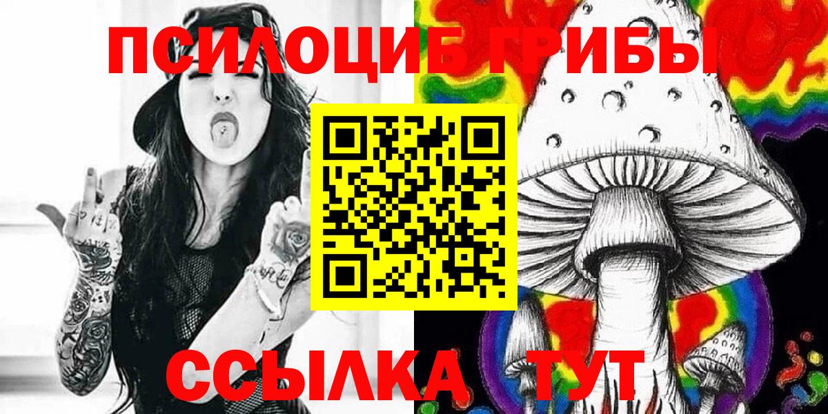 Псилоцибиновые грибы Psilocybine cubensis Борзя