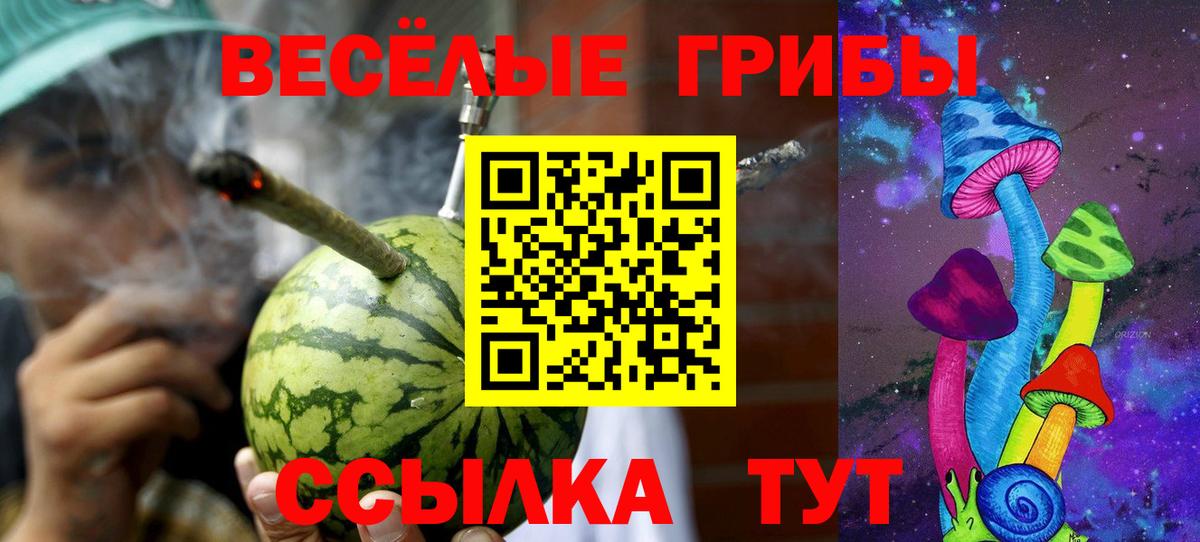 Галлюциногенные грибы прущие грибы  Псилоцибиновые грибы Psilocybine cubensis  Вход с VPN  Борзя 