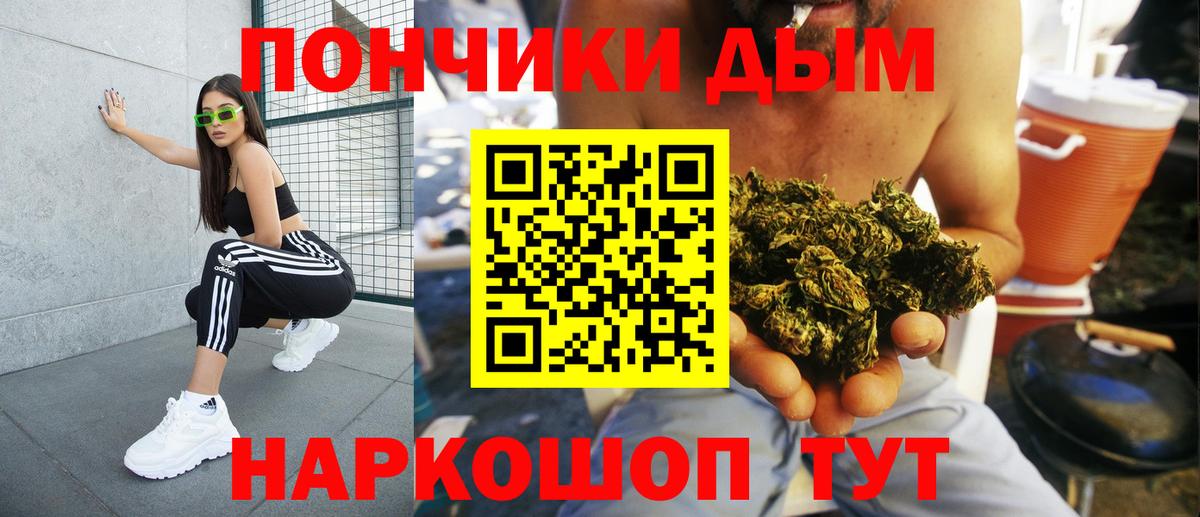 Конопля план  Канабис сатива  Канабис сатива  Борзя  Вход с VPN 